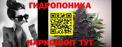 стаф Будённовск