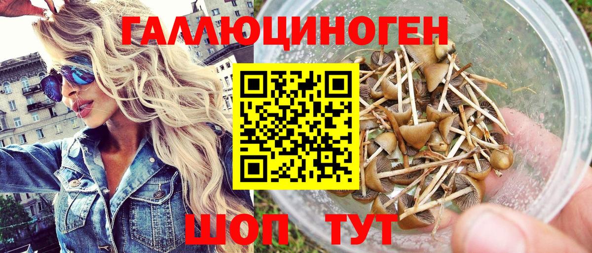 Галлюциногенные грибы прущие грибы  Вход с VPN  Полевской  Галлюциногенные грибы мицелий 