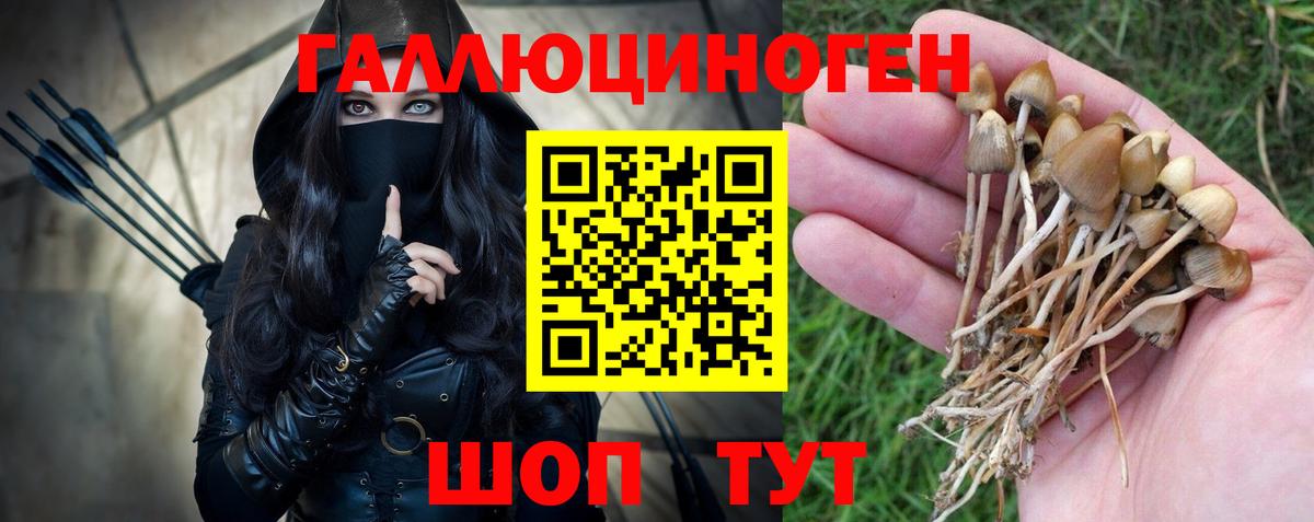Псилоцибиновые грибы Magic Shrooms Полевской